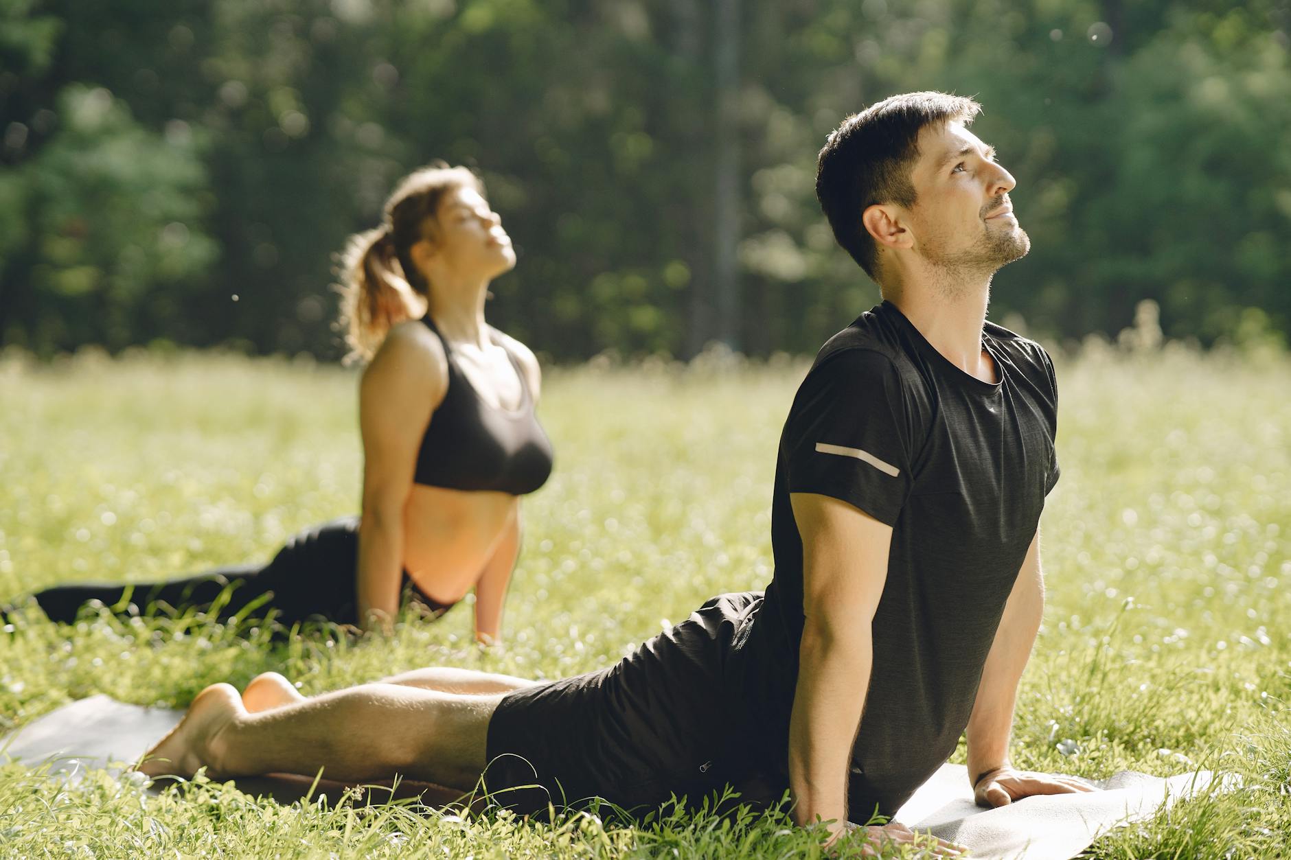 Understanding Glyco Harmony: A Buyer’s Guide